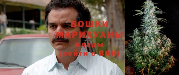 прущие грибы Вязники