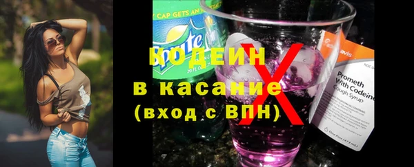 прущие грибы Вязники