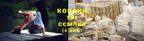 прущие грибы Вязники