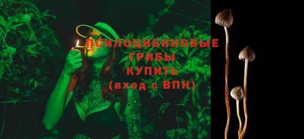 герыч Вязьма
