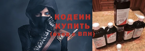 не бодяженный Вяземский