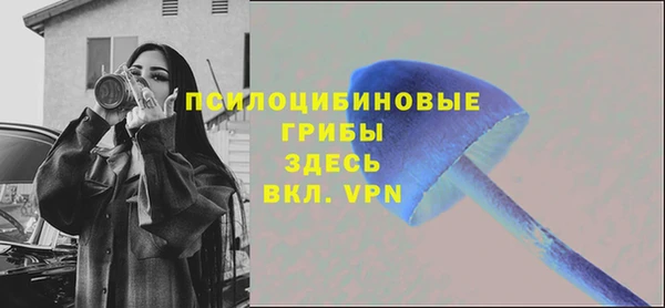 прущие грибы Вязники