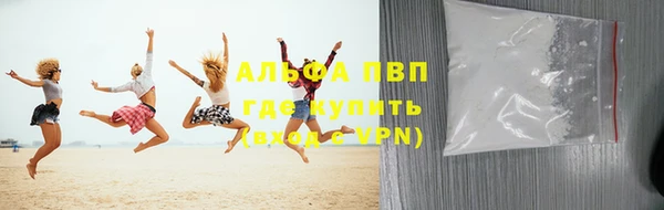 прущие грибы Вязники
