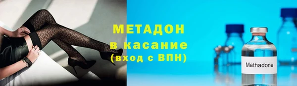 прущие грибы Вязники