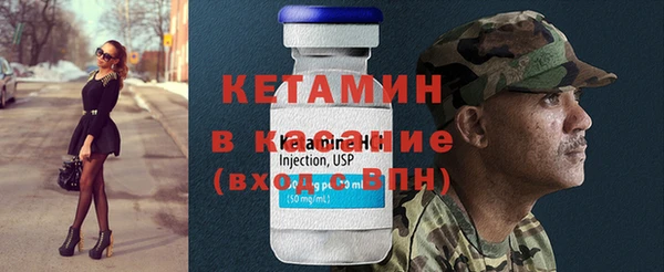 прущие грибы Вязники
