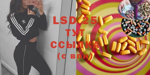 прущие грибы Вязники