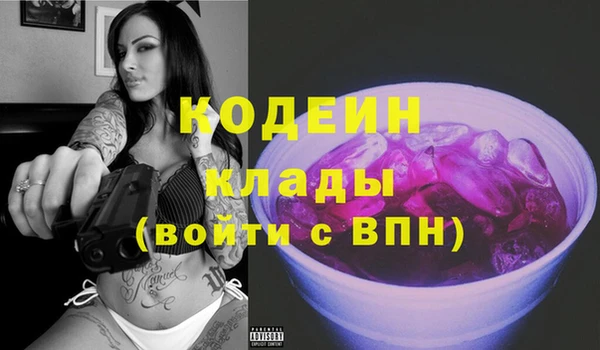 прущие грибы Вязники