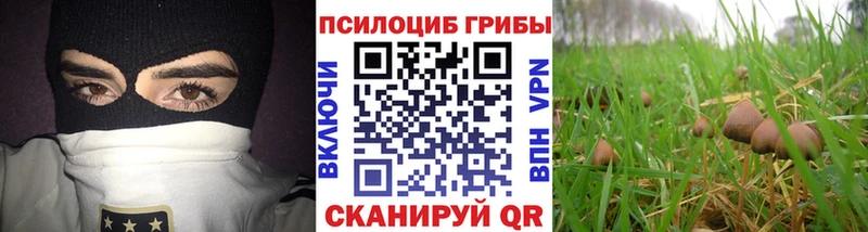 Псилоцибиновые грибы прущие грибы  Купить где  Тутаев 
